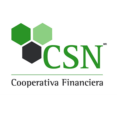 logos_empresas_0001_csn_logoo